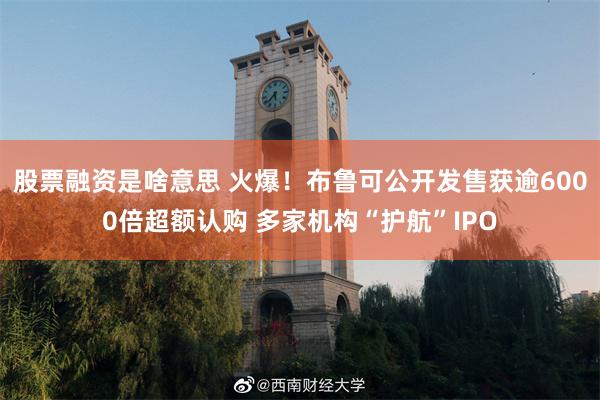股票融资是啥意思 火爆！布鲁可公开发售获逾6000倍超额认购 多家机构“护航”IPO