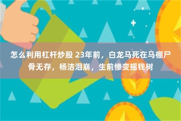 怎么利用杠杆炒股 23年前，白龙马死在马棚尸骨无存，杨洁泪崩，生前惨变摇钱树