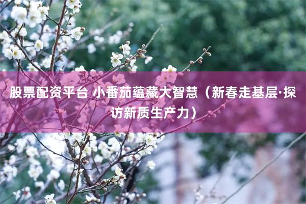 股票配资平台 小番茄蕴藏大智慧（新春走基层·探访新质生产力）