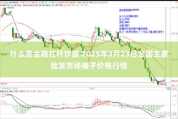 什么是金融杠杆炒股 2025年3月23日全国主要批发市场榛子价格行情