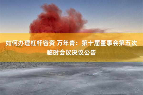 如何办理杠杆容资 万年青：第十届董事会第五次临时会议决议公告