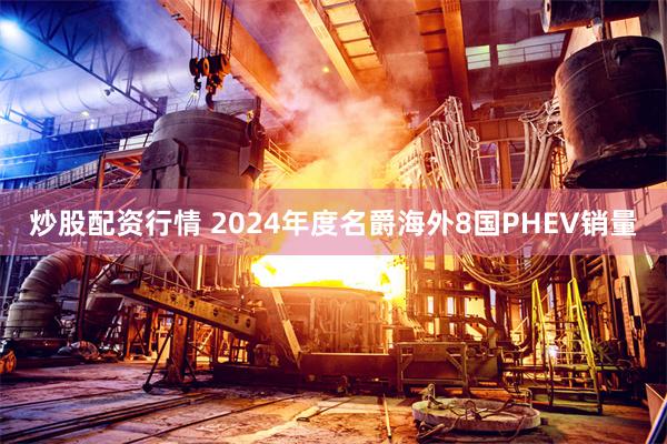 炒股配资行情 2024年度名爵海外8国PHEV销量
