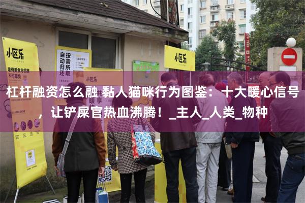 杠杆融资怎么融 黏人猫咪行为图鉴：十大暖心信号，让铲屎官热血沸腾！_主人_人类_物种
