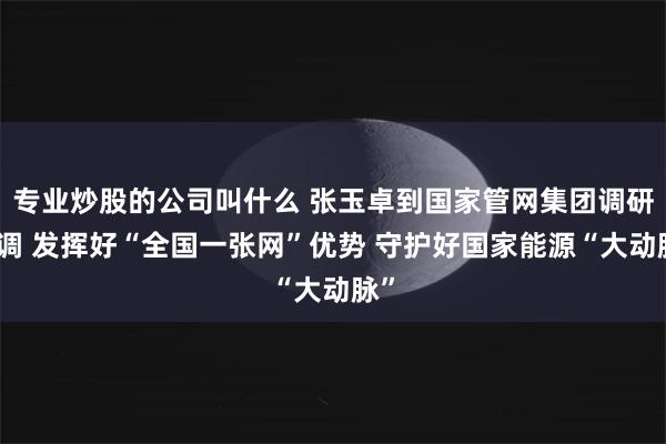 专业炒股的公司叫什么 张玉卓到国家管网集团调研强调 发挥好“全国一张网”优势 守护好国家能源“大动脉”