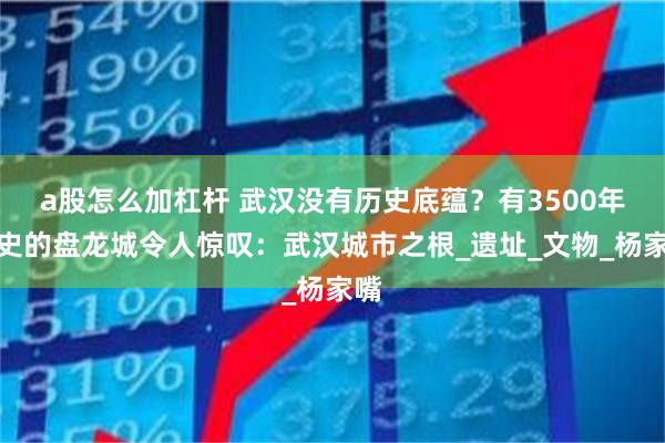 a股怎么加杠杆 武汉没有历史底蕴？有3500年历史的盘龙城令人惊叹：武汉城市之根_遗址_文物_杨家嘴