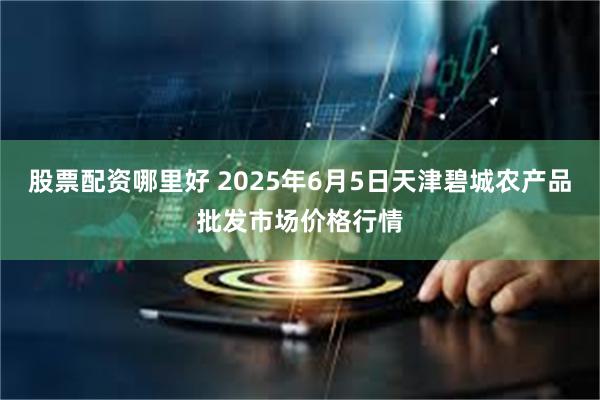 股票配资哪里好 2025年6月5日天津碧城农产品批发市场价格行情