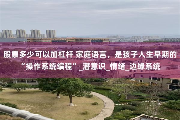 股票多少可以加杠杆 家庭语言，是孩子人生早期的“操作系统编程”_潜意识_情绪_边缘系统