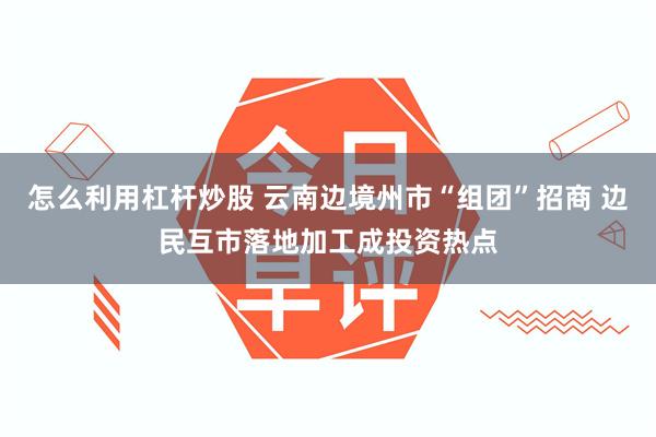 怎么利用杠杆炒股 云南边境州市“组团”招商 边民互市落地加工成投资热点