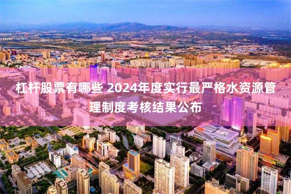 杠杆股票有哪些 2024年度实行最严格水资源管理制度考核结果公布