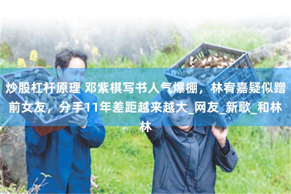炒股杠杆原理 邓紫棋写书人气爆棚，林宥嘉疑似蹭前女友，分手11年差距越来越大_网友_新歌_和林
