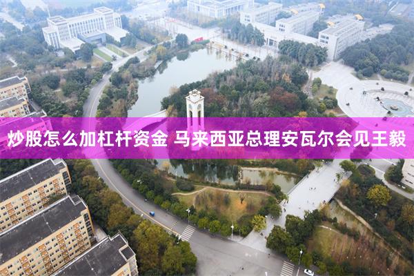 炒股怎么加杠杆资金 马来西亚总理安瓦尔会见王毅