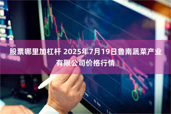 股票哪里加杠杆 2025年7月19日鲁南蔬菜产业有限公司价格行情