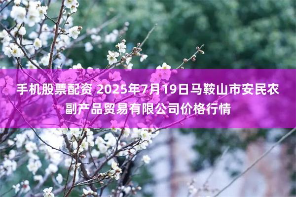 手机股票配资 2025年7月19日马鞍山市安民农副产品贸易有限公司价格行情