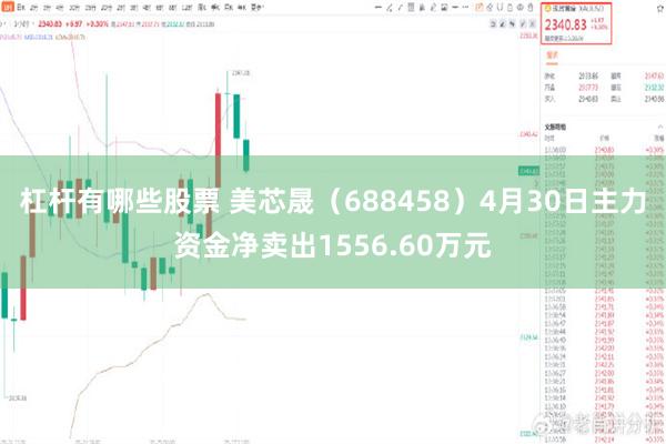 杠杆有哪些股票 美芯晟（688458）4月30日主力资金净卖出1556.60万元
