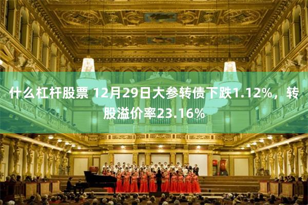 什么杠杆股票 12月29日大参转债下跌1.12%，转股溢价率23.16%