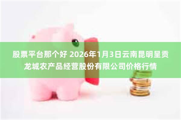 股票平台那个好 2026年1月3日云南昆明呈贡龙城农产品经营股份有限公司价格行情