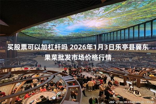 买股票可以加杠杆吗 2026年1月3日乐亭县冀东果菜批发市场价格行情